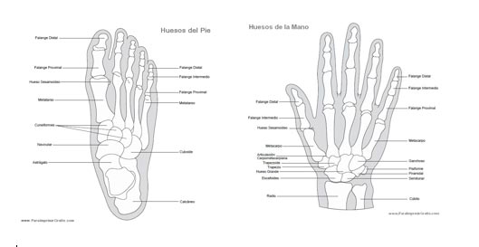 RehabilitacionFractura_01