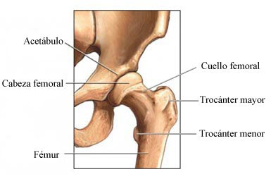 fracturafemuradultomayor02